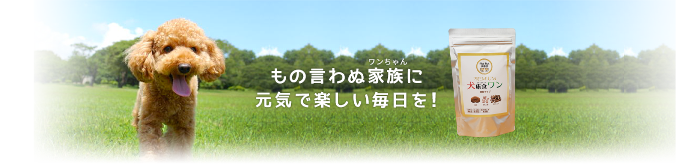 もの言わぬ家族に元気で楽しい毎日を!