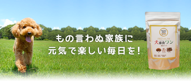 もの言わぬ家族に元気で楽しい毎日を!