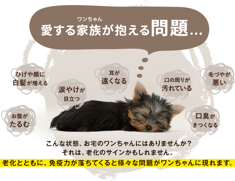 愛する家族が抱える問題…
