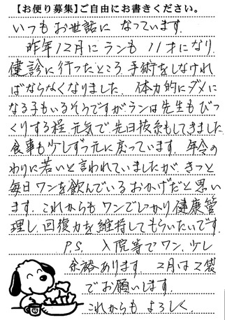 ラン 画像1